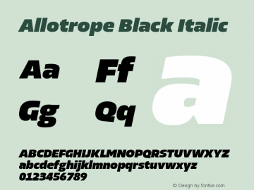 Allotrope Black Italic Version 1.000 | web-TT图片样张