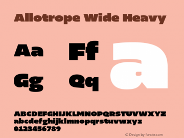 Allotrope Wide Heavy Version 1.000 | web-TT图片样张