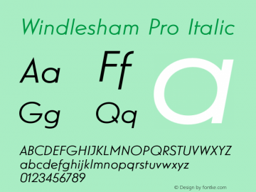 WindleshamPro-Italic Version 1.000图片样张
