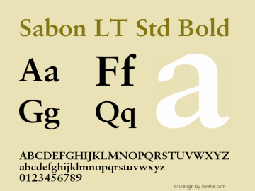 Sabon LT Std Bold Version 1.040;PS 001.001;Core 1.0.35;makeotf.lib1.5.4492图片样张