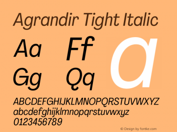 Agrandir Tight Italic Version 3.000;hotconv 1.0.109;makeotfexe 2.5.65596图片样张