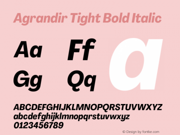 Agrandir Tight Bold Italic Version 3.000;hotconv 1.0.109;makeotfexe 2.5.65596图片样张