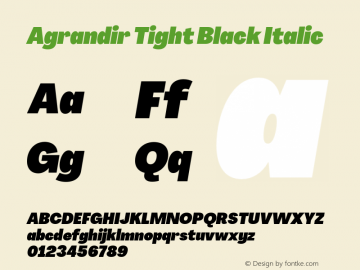Agrandir Tight Black Italic Version 3.000;hotconv 1.0.109;makeotfexe 2.5.65596图片样张