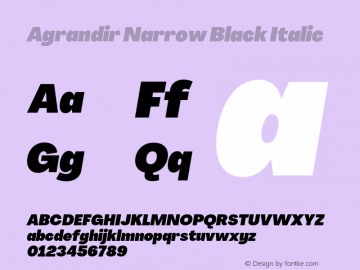 Agrandir Narrow Black Italic Version 3.000;hotconv 1.0.109;makeotfexe 2.5.65596图片样张