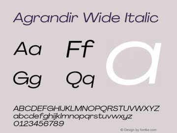 Agrandir Wide Italic Version 3.000;hotconv 1.0.109;makeotfexe 2.5.65596图片样张