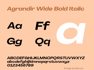 Agrandir Wide Bold Italic Version 3.000;hotconv 1.0.109;makeotfexe 2.5.65596图片样张