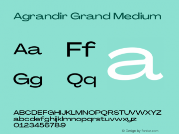 Agrandir Grand Medium Version 3.000;hotconv 1.0.109;makeotfexe 2.5.65596图片样张