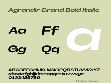 Agrandir Grand Bold Italic Version 3.000;hotconv 1.0.109;makeotfexe 2.5.65596图片样张