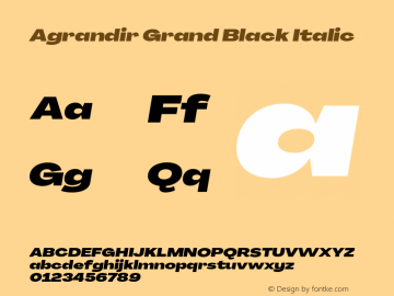 Agrandir Grand Black Italic Version 3.000;hotconv 1.0.109;makeotfexe 2.5.65596图片样张