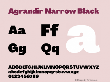 Agrandir Narrow Black Version 3.000图片样张