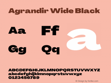 Agrandir Wide Black Version 3.000图片样张