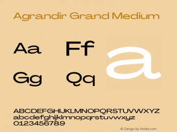 Agrandir Grand Medium Version 3.000图片样张