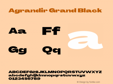 Agrandir Grand Black Version 3.000图片样张