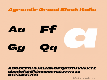 Agrandir Grand Black Italic Version 3.000图片样张