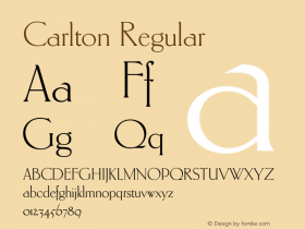 CarltonPlain 005.000图片样张