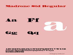 Madrone Std Regular OTF 1.018;PS 001.002;Core 1.0.31;makeotf.lib1.4.1585 Font Sample
