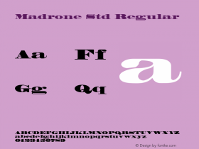 Madrone Std Regular OTF 1.018;PS 001.002;Core 1.0.31;makeotf.lib1.4.1585图片样张
