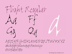 FlightPlain 001.000图片样张