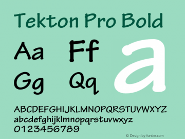 Tekton Pro Bold OTF 1.005;PS 001.000;Core 1.0.23;hotunix 1.28 Font Sample