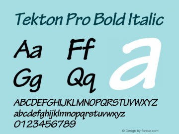 Tekton Pro Bold Italic OTF 1.005;PS 001.000;Core 1.0.23;hotunix 1.28 Font Sample