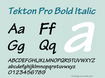 Tekton Pro Bold Italic Version 2.020;PS 2.000;hotconv 1.0.51;makeotf.lib2.0.18671 Font Sample