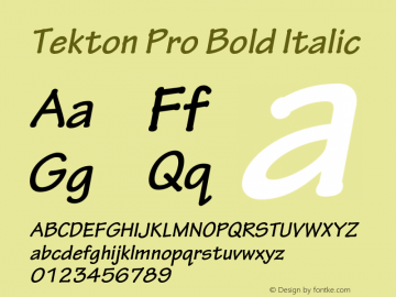 Tekton Pro Bold Italic Version 2.045;PS 2.000;hotconv 1.0.57;makeotf.lib2.0.21895 Font Sample