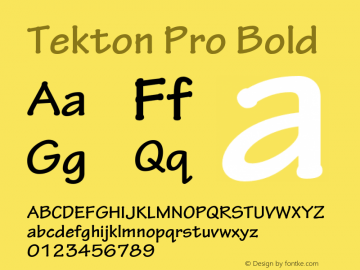 Tekton Pro Bold Version 2.070;PS 2.000;hotconv 1.0.67;makeotf.lib2.5.33168 Font Sample