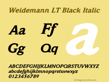 WeidemannLT-BlackItalic 006.000图片样张