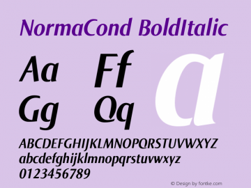 NormaCond-BoldItalic 005.000图片样张