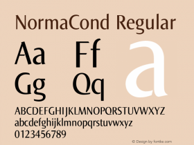 NormaCond 005.000图片样张