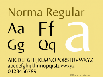 Norma 005.000图片样张