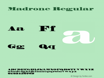 Madrone 001.001图片样张