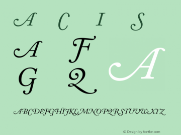 Adobe Caslon Italic Swash 001.002图片样张