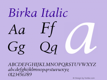 Birka-Italic 005.000图片样张