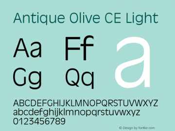 Antique Olive CE Light 001.000图片样张