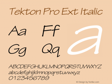 Tekton Pro Ext Italic OTF 1.005;PS 001.000;Core 1.0.23;hotunix 1.28图片样张