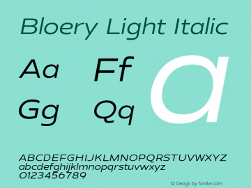 Bloery Light Italic Version 1.000 | web-TT图片样张