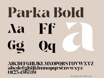Parka Bold Version 1.000 | web-OT图片样张