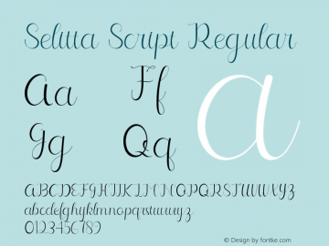 Selitta Script Version 1.00;January 19, 2021;FontCreator 11.5.0.2422 64-bit图片样张