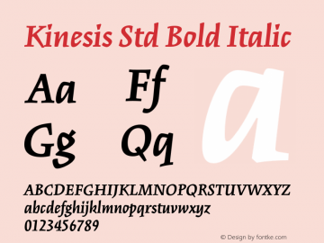 Kinesis Std Bold Italic Version 1.040;PS 001.000;Core 1.0.35;makeotf.lib1.5.4492 Font Sample