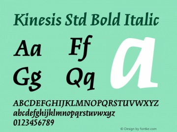 Kinesis Std Bold Italic Version 2.035;PS 002.000;hotconv 1.0.51;makeotf.lib2.0.18671 Font Sample