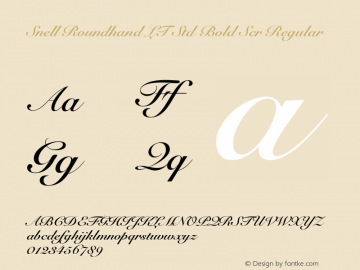 Snell Roundhand LT Std Bold Scr Regular Version 2.020;PS 002.000;hotconv 1.0.50;makeotf.lib2.0.16970 Font Sample