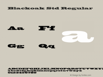 Blackoak Std Regular OTF 1.018;PS 001.002;Core 1.0.31;makeotf.lib1.4.1585图片样张