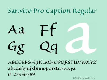 Sanvito Pro Caption Regular OTF 1.003;PS 001.001;Core 1.0.31;makeotf.lib1.4.1585图片样张