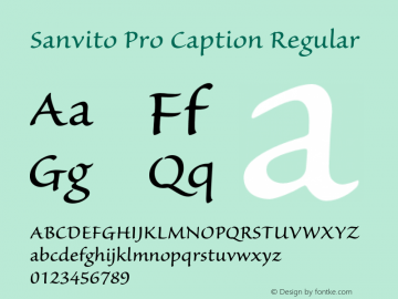 Sanvito Pro Caption Regular OTF 1.003;PS 001.001;Core 1.0.31;makeotf.lib1.4.1585 Font Sample