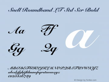 Snell Roundhand LT Std Scr Bold OTF 1.029;PS 001.004;Core 1.0.33;makeotf.lib1.4.1585图片样张