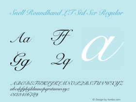 Snell Roundhand LT Std Scr Regular OTF 1.029;PS 001.004;Core 1.0.33;makeotf.lib1.4.1585 Font Sample