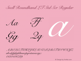 Snell Roundhand LT Std Scr Regular OTF 1.029;PS 001.004;Core 1.0.33;makeotf.lib1.4.1585 Font Sample