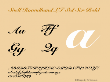 Snell Roundhand LT Std Scr Bold Version 2.020;PS 002.000;hotconv 1.0.50;makeotf.lib2.0.16970 Font Sample