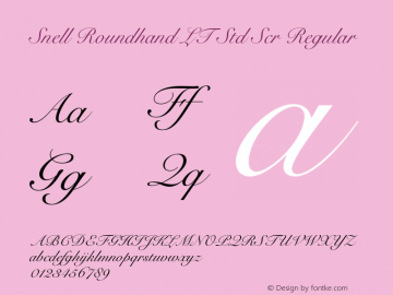 Snell Roundhand LT Std Scr Regular Version 2.020;PS 002.000;hotconv 1.0.50;makeotf.lib2.0.16970 Font Sample